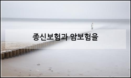 오늘의 이미지