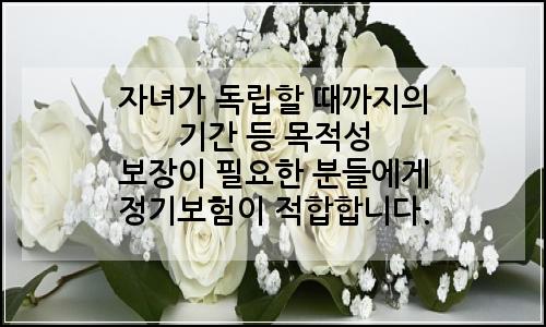 오늘의 이미지