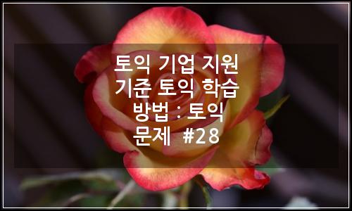 오늘의 이미지