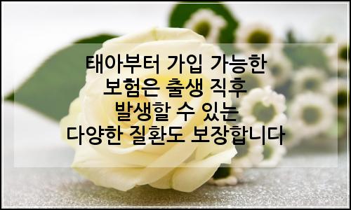 오늘의 이미지
