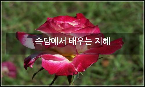 오늘의 이미지