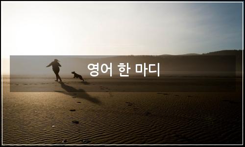 오늘의 이미지