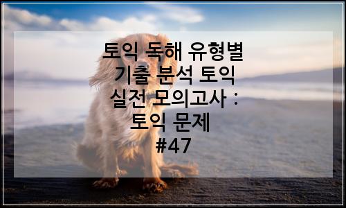 오늘의 이미지