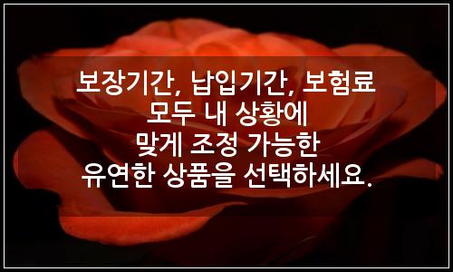 오늘의 이미지