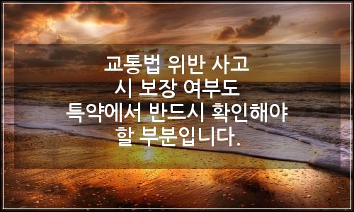 오늘의 이미지