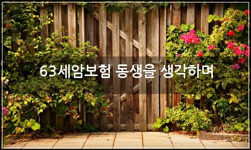 오늘의 이미지