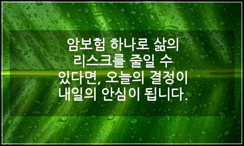 오늘의 이미지