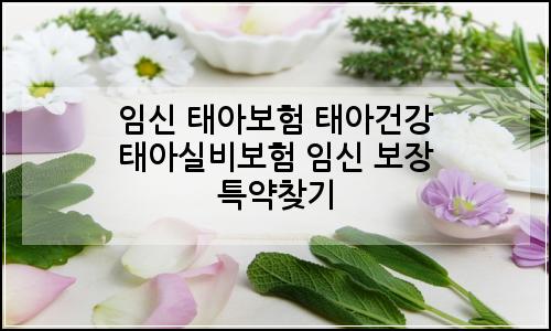 오늘의 이미지