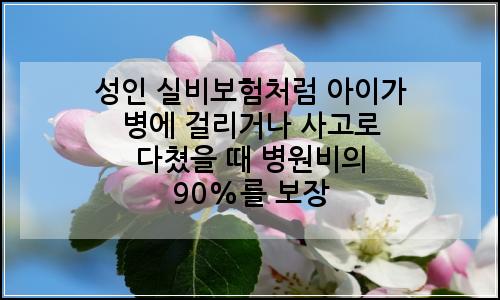 오늘의 이미지