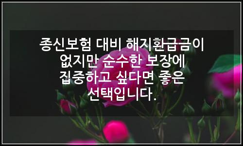 오늘의 이미지