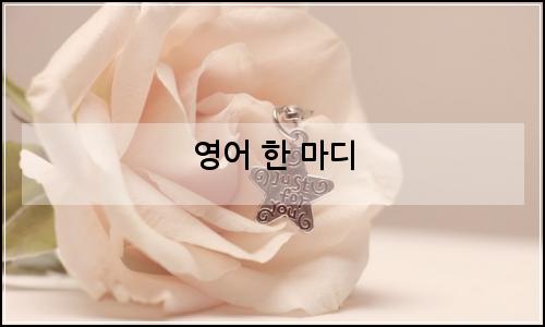 오늘의 이미지