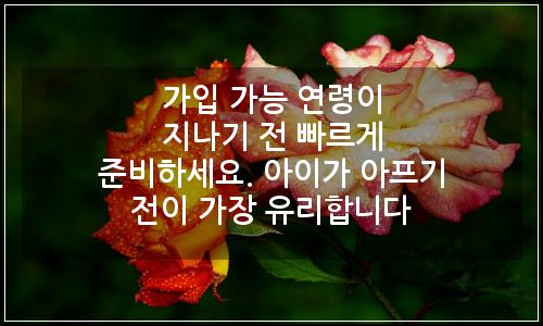 오늘의 이미지