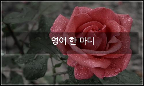 오늘의 이미지