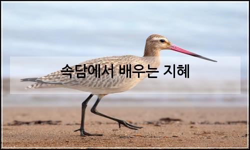 오늘의 이미지