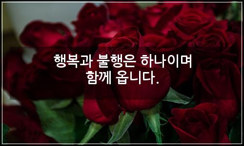 오늘의 이미지