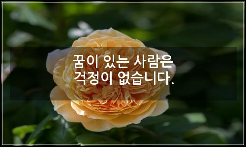 오늘의 이미지