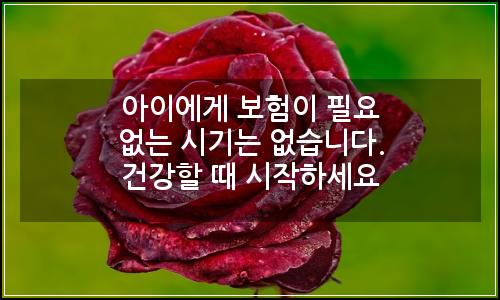오늘의 이미지