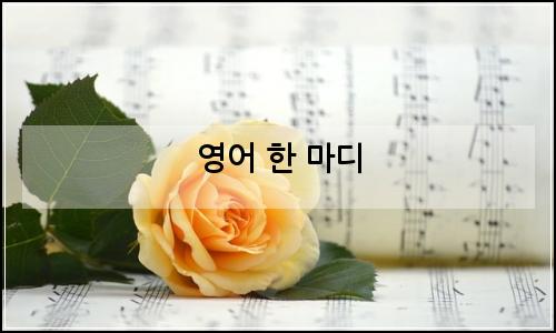 오늘의 이미지
