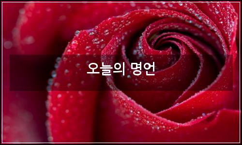오늘의 이미지