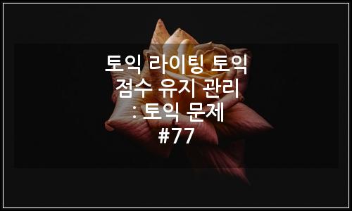 오늘의 이미지