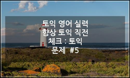 오늘의 이미지