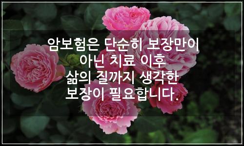 오늘의 이미지