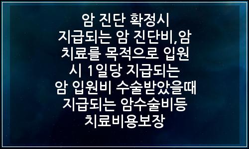 오늘의 이미지