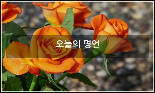 오늘의 이미지