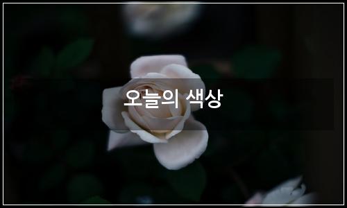 오늘의 이미지