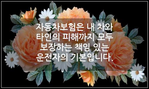 오늘의 이미지