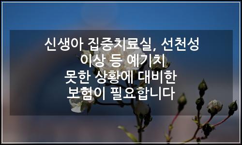 오늘의 이미지