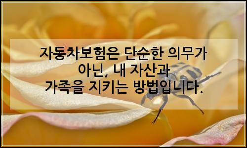 오늘의 이미지