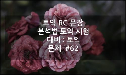 오늘의 이미지