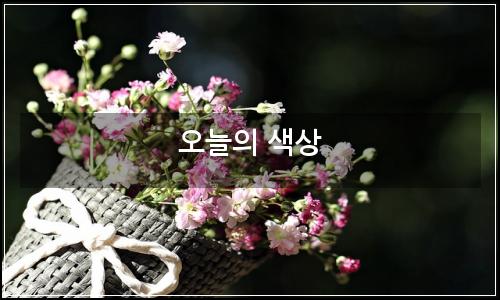 오늘의 이미지