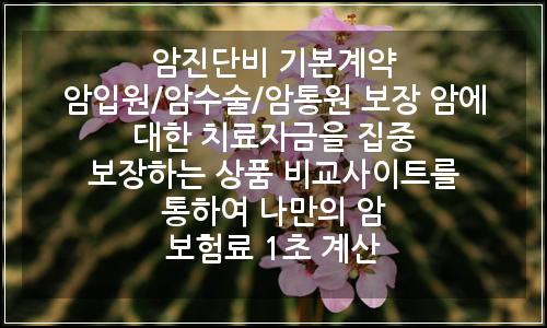 오늘의 이미지