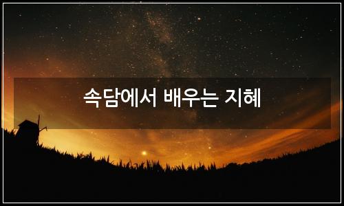 오늘의 이미지