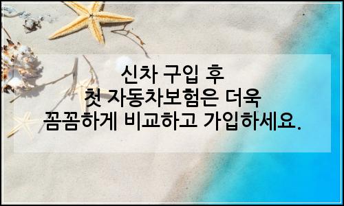 오늘의 이미지