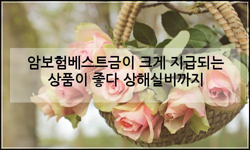 오늘의 이미지