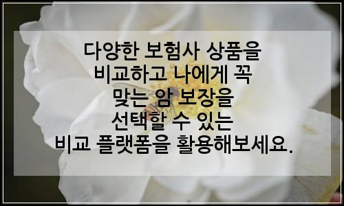 오늘의 이미지