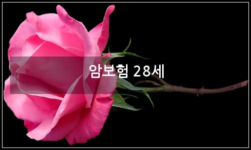 오늘의 이미지