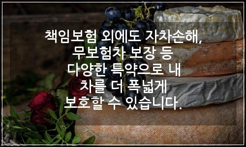오늘의 이미지