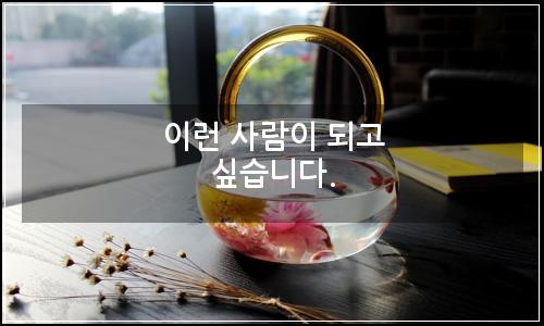오늘의 이미지