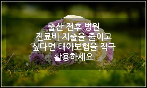 오늘의 이미지