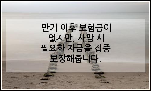 오늘의 이미지