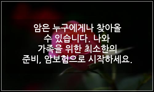 오늘의 이미지
