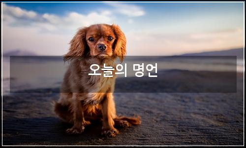 오늘의 이미지