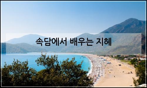오늘의 이미지