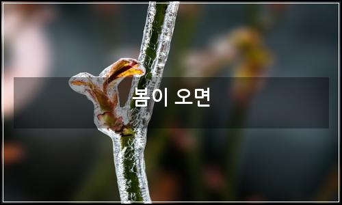 오늘의 이미지