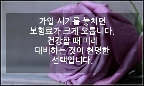 오늘의 이미지