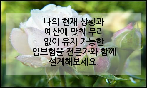 오늘의 이미지